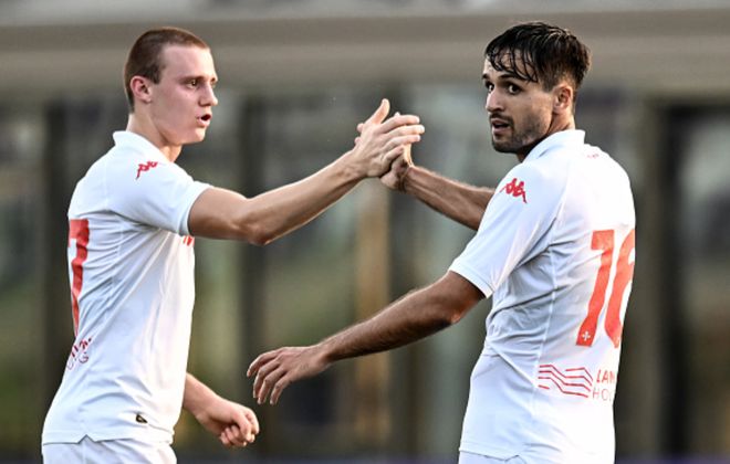 新布希球场 新布希球场