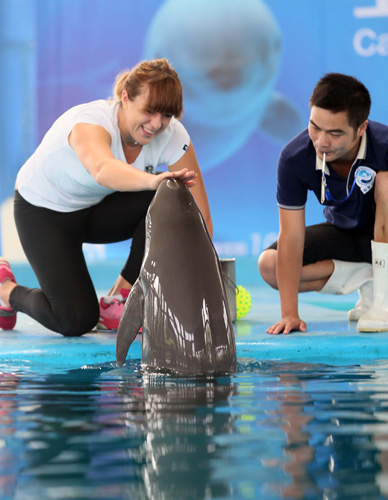 樊振东率队登顶德国杯 当选赛事MVP