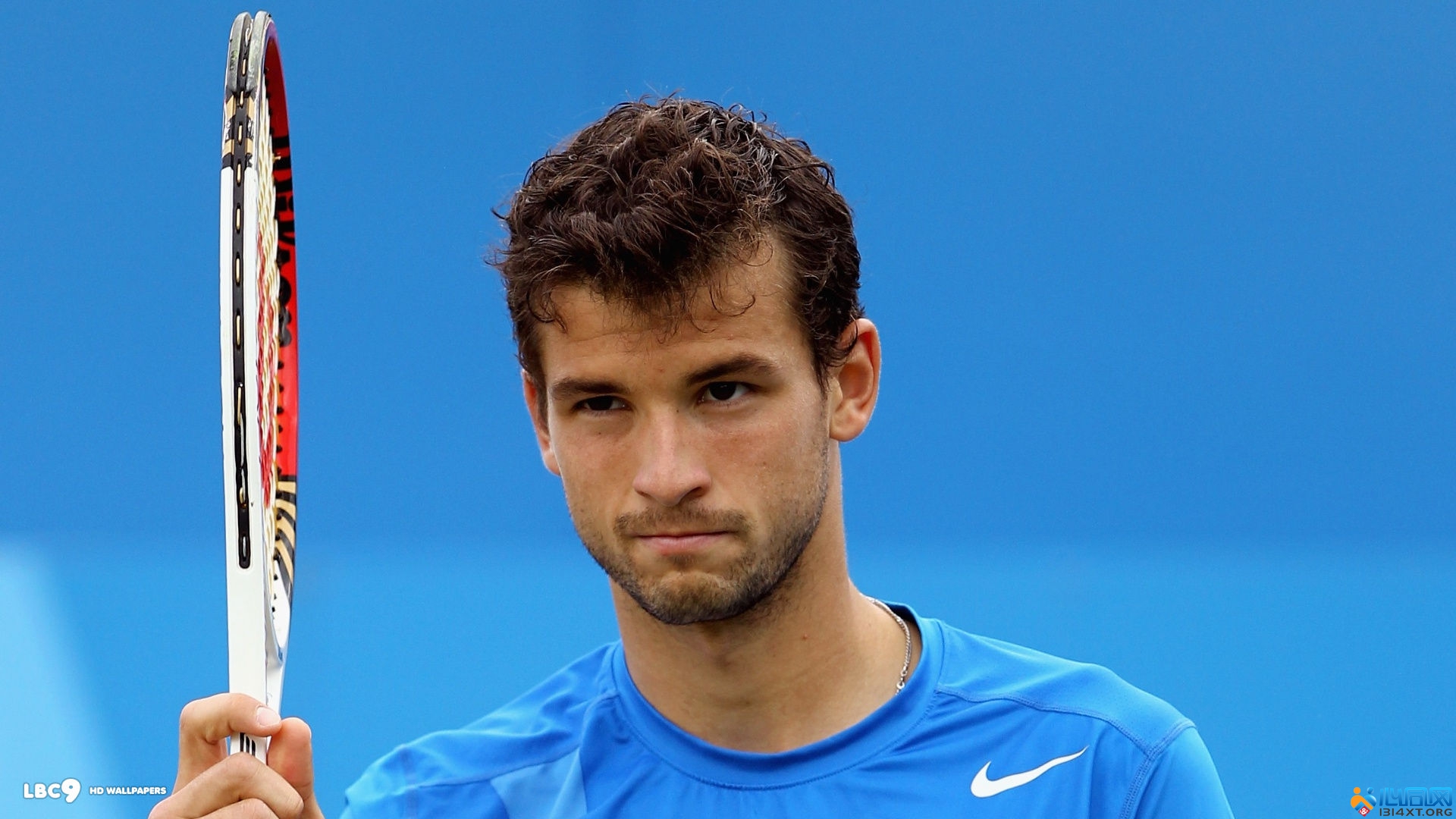 奖励触发概 奖励触发概